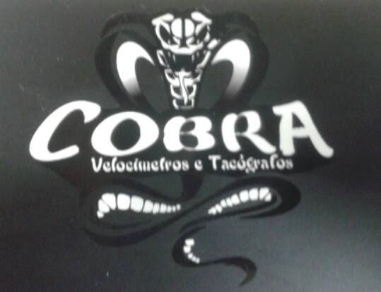 Foto de Cobra Velocimetros - São Paulo / SP