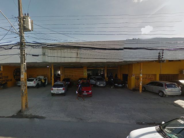 Martelinho de Ouro - Pina